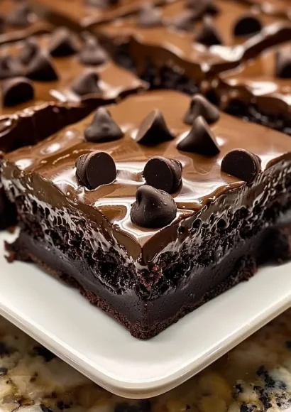 Delicious triple chocolate fudge brownies topped with chocolate chips